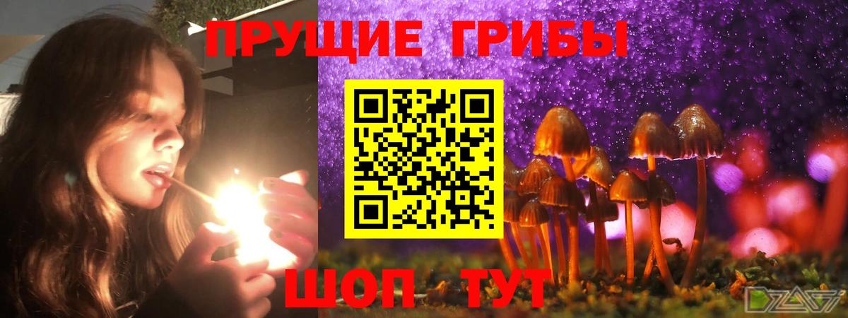 Муравленко  Псилоцибиновые грибы MAGIC MUSHROOMS  Вход с VPN  купить   Псилоцибиновые грибы MAGIC MUSHROOMS 